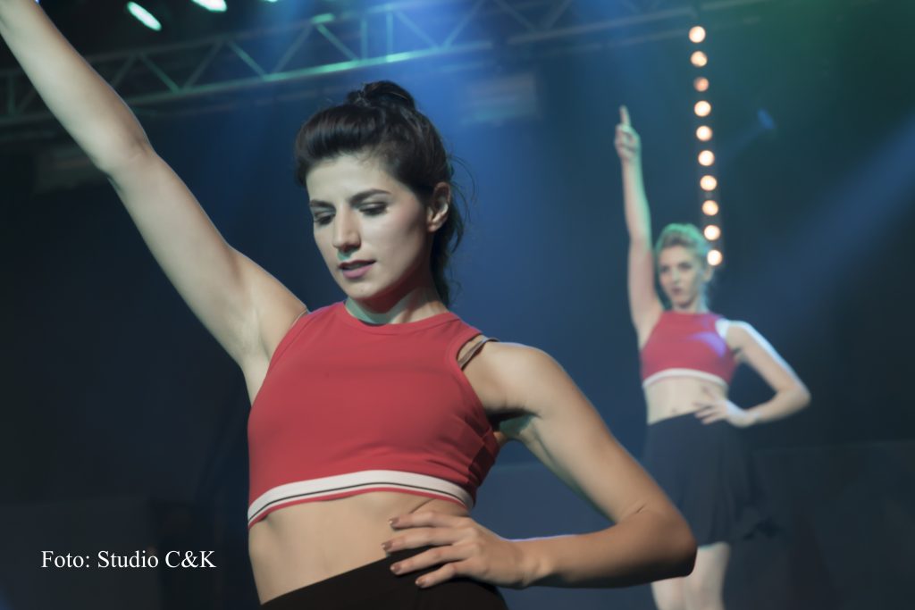 V!BE2016 Dinner Show114