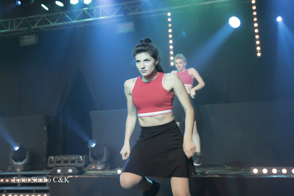V!BE2016 Dinner Show115