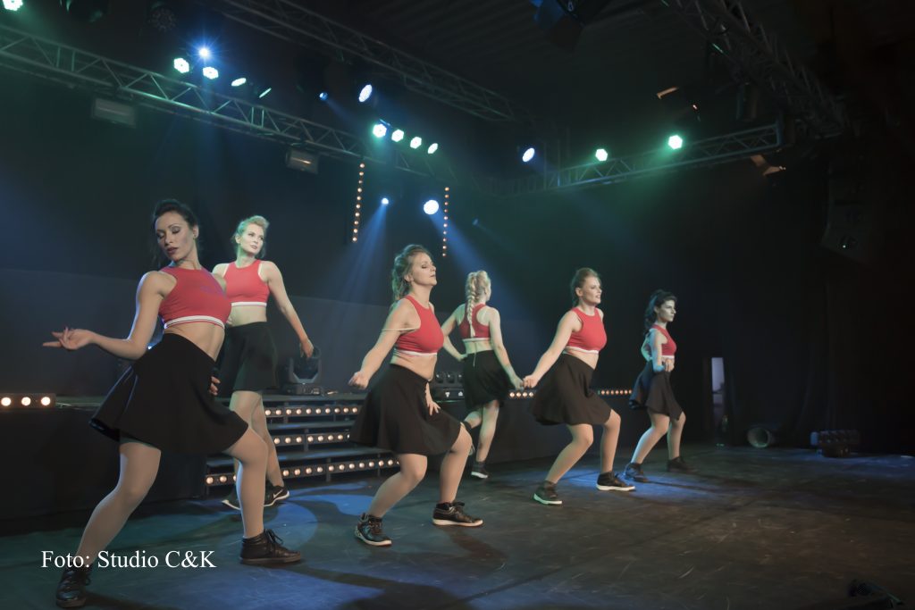 V!BE2016 Dinner Show118