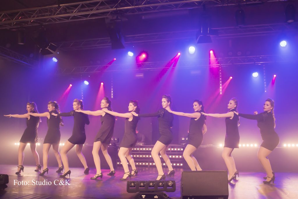 V!BE2016 Dinner Show156