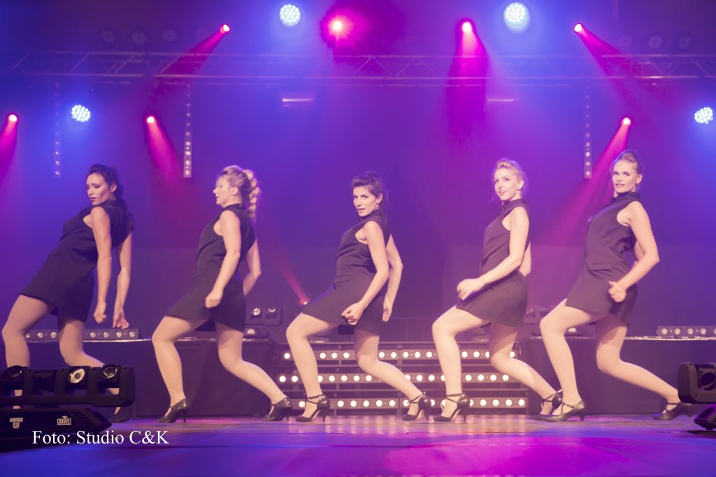 V!BE2016 Dinner Show160