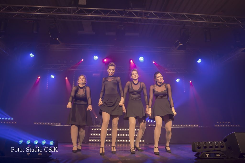 V!BE2016 Dinner Show168