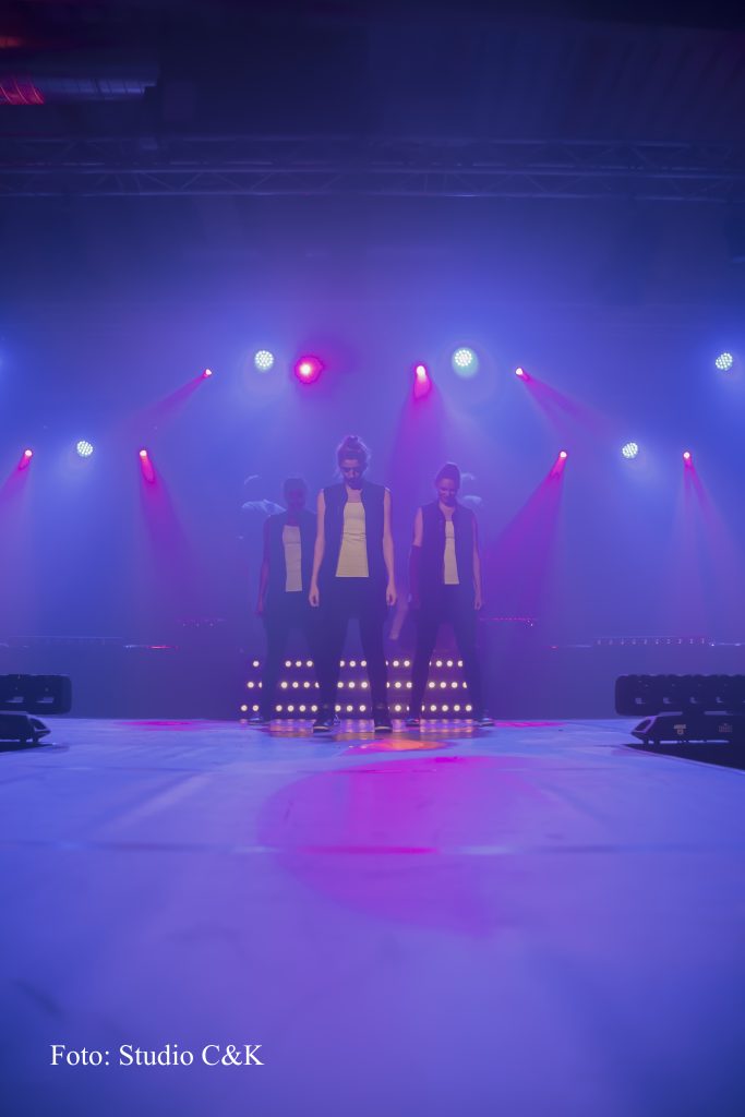 V!BE2016 Dinner Show189