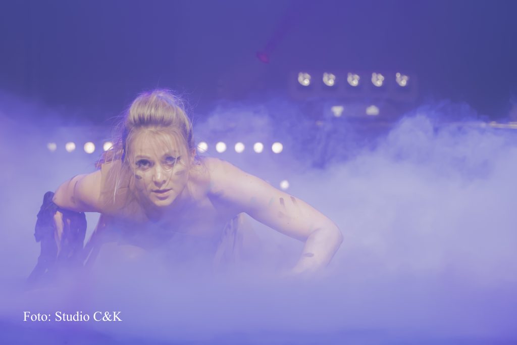V!BE2016 Dinner Show204