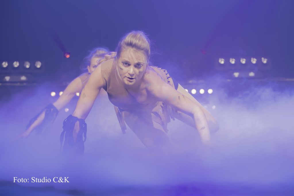 V!BE2016 Dinner Show205