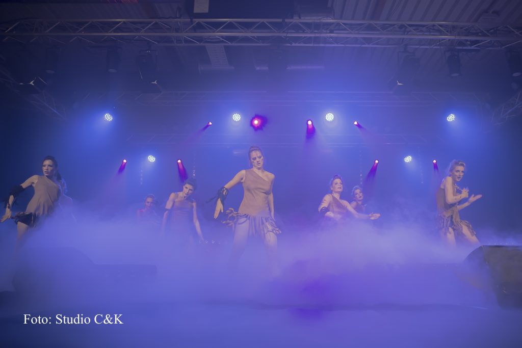 V!BE2016 Dinner Show210