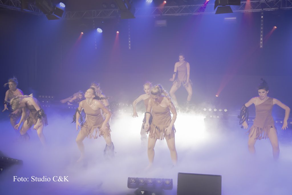 V!BE2016 Dinner Show212