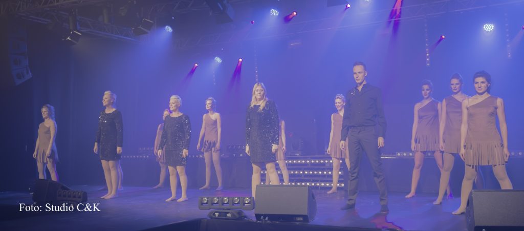 V!BE2016 Dinner Show219