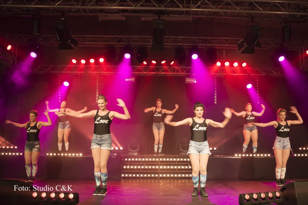 V!BE2016 Dinner Show23