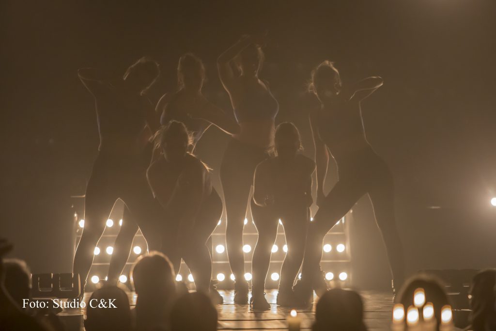 V!BE2016 Dinner Show243