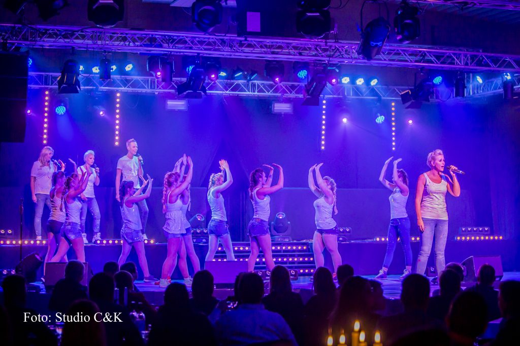 V!BE2016 Dinner Show246