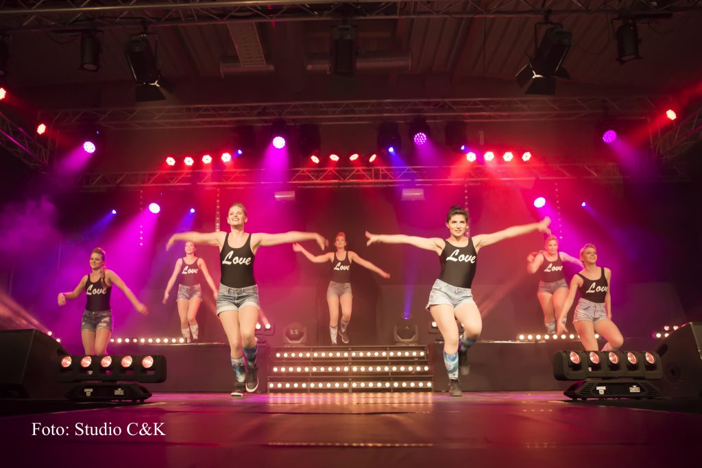 V!BE2016 Dinner Show26