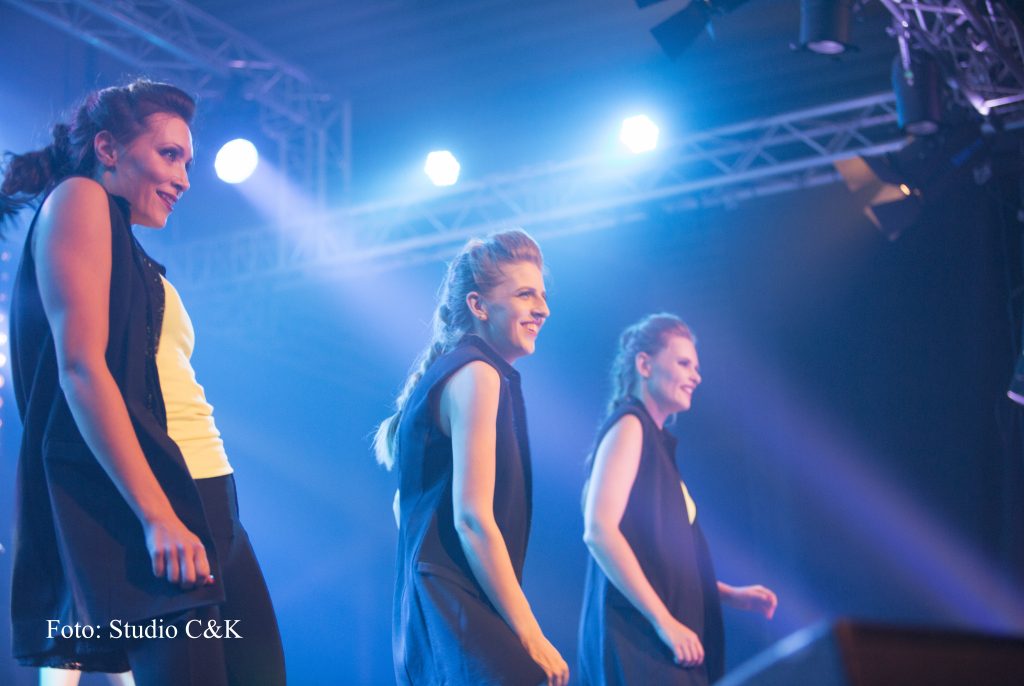 V!BE2016 Dinner Show264