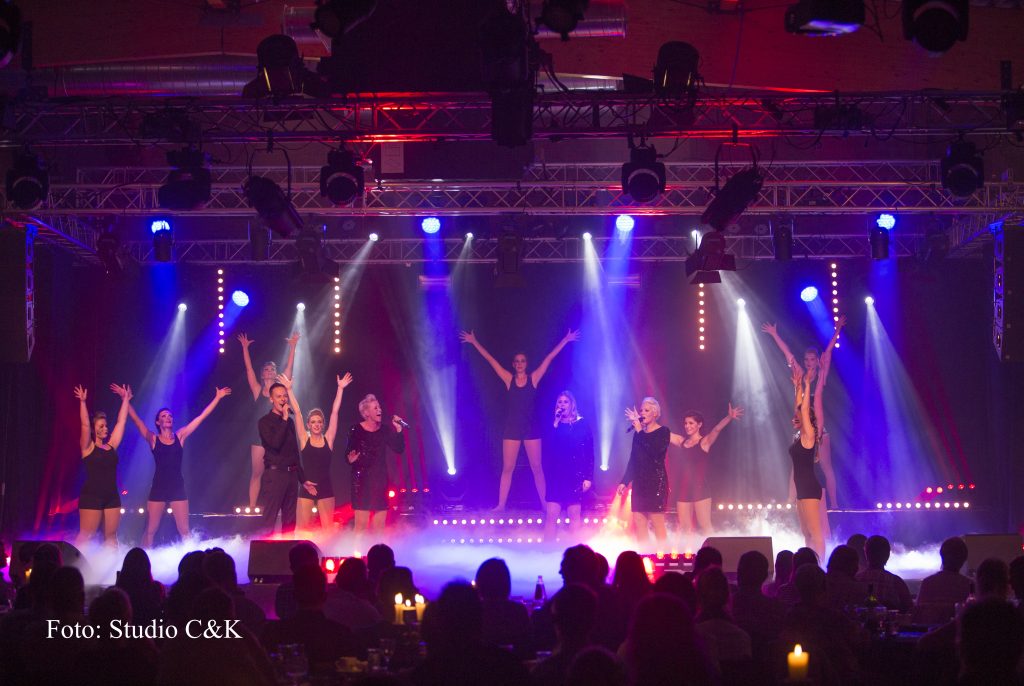 V!BE2016 Dinner Show267