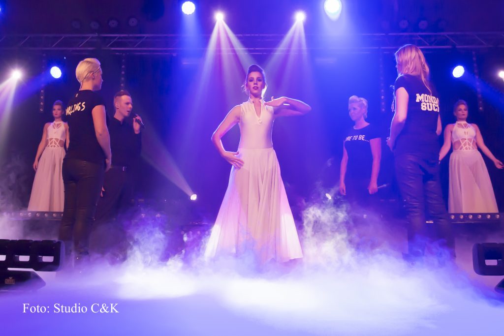 V!BE2016 Dinner Show3