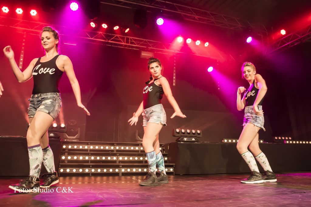 V!BE2016 Dinner Show33