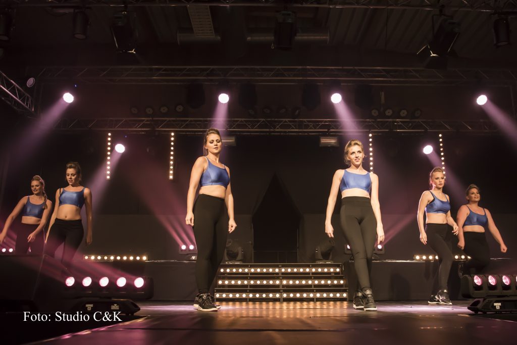 V!BE2016 Dinner Show47