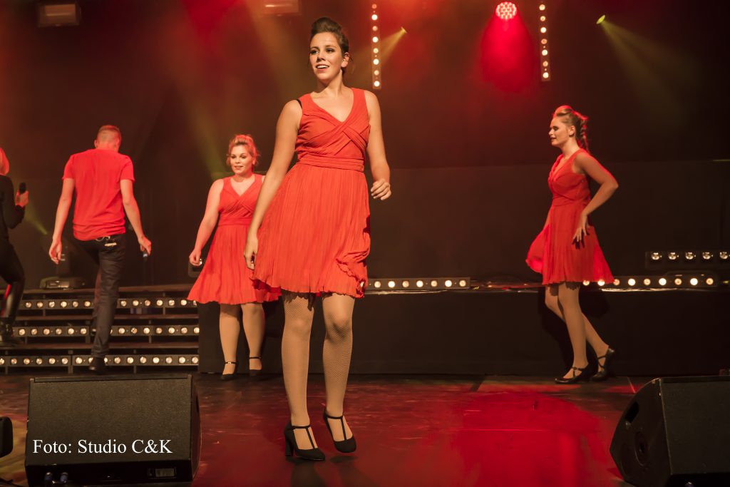 V!BE2016 Dinner Show78