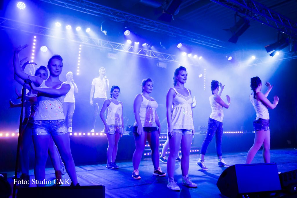 V!BE2016 Dinner Show86
